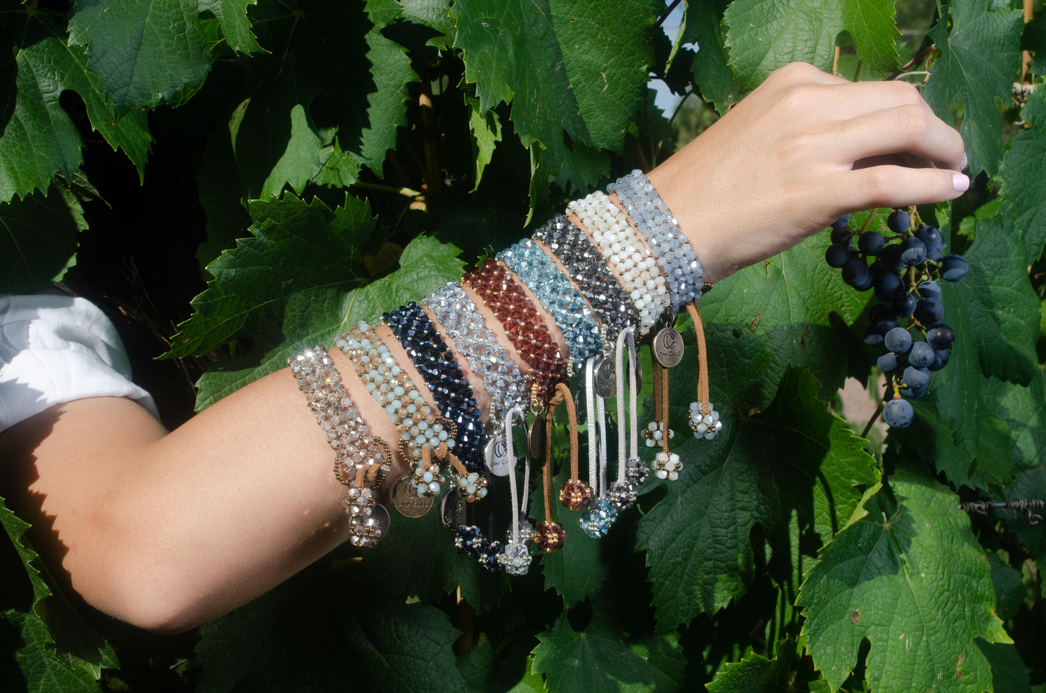 Soul Harvest Collection